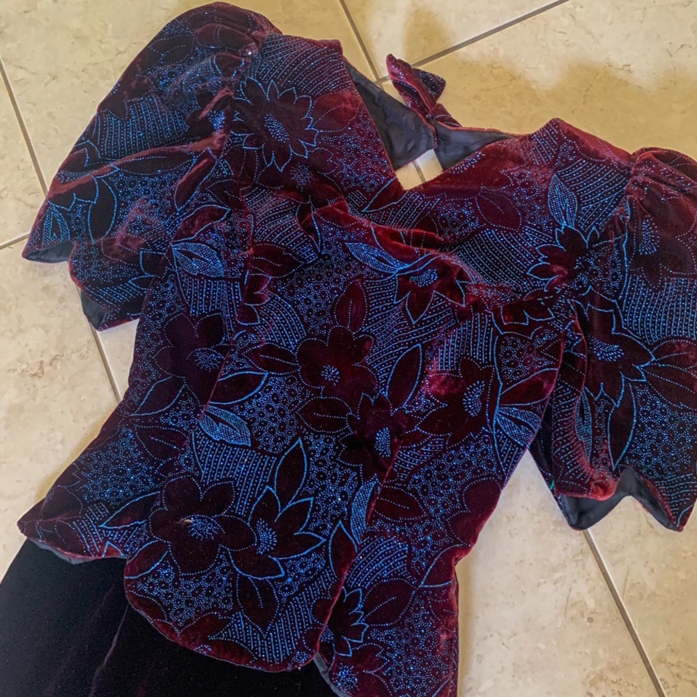 Scott McClintock Velvet Glittery Dress